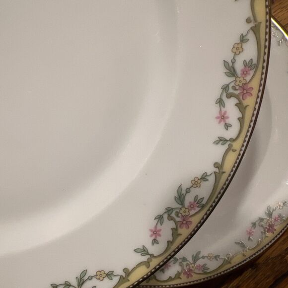 Vignaud VIG86 Limoges Set of TWO Salad Plates, 7 1/2" Hess Bros. PRISTINE! - Picture 6 of 6